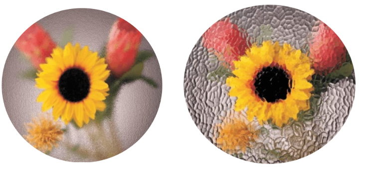 Flora Stained/Colored/Tinted Window Glass
